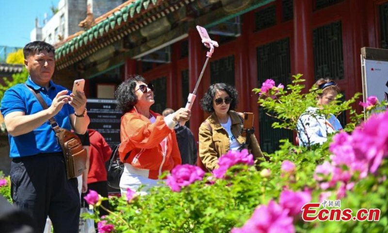 Visitors take photos of the blooming peonies at the Shengyang Imperial Palace in northeast China's Liaoning Province, May 7, 2020. (Photo: China News Service/Yu Haiyang)