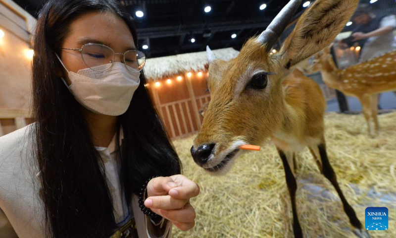 A visitor feeds a spotted deer at the Queen Sirikit National Convention Center in Bangkok, Thailand, May 4, 2023. The Pet Expo Thailand 2023 kicked off here on Thursday and will last until May 7. (Xinhua/Rachen Sageamsak)