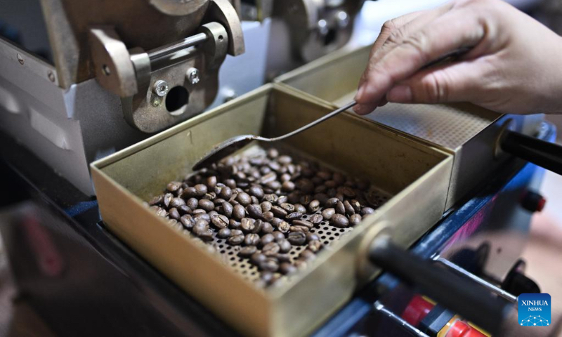 A worker checks roasted coffee beans in a coffee factory in Marcala, Honduras, on May 6, 2023. Honduras' natural conditions are ideal for coffee cultivation and it is one of the major coffee exporters in Central America. (Xinhua/Xin Yuewei)