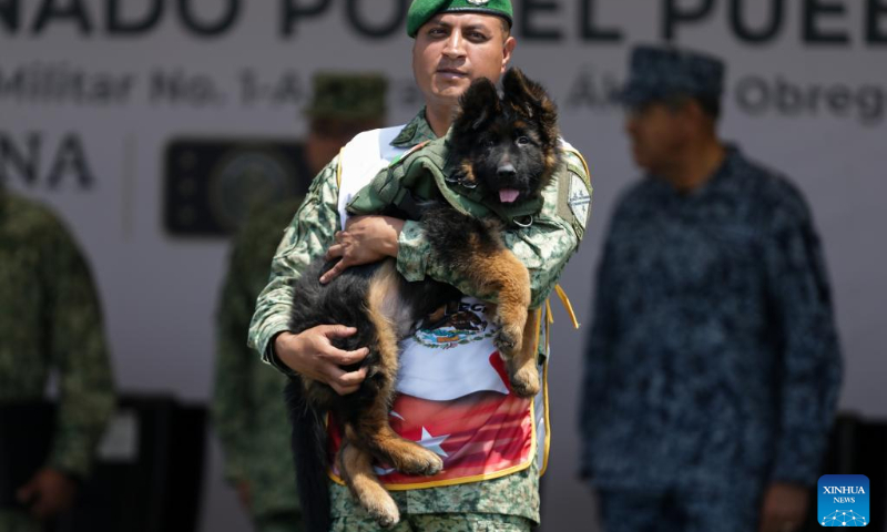 German shepherd puppy Arkadas is cuddled by a soldier at a military base in Naucalpan, Mexico, May 3, 2023. Mexico on Wednesday welcomed Arkadas, a new search puppy given as a gift by Türkiye out of gratitude to Proteo, a Mexican search dog which died while carrying out duties when a massive earthquake struck Türkiye in February. (Photo by Francisco Canedo/Xinhua)