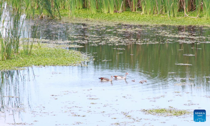 This photo taken on April 22, 2023 shows a view of Mukuvisi Woodlands on the outskirts of Harare, Zimbabwe. (Xinhua/Zhang Baoping)