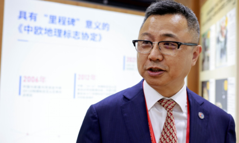 Pan Feng, vice president of the China-Europe Association for Technical & Economic Cooperation (CEATEC) Photo: Li Hao/GT