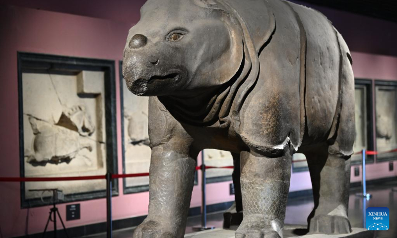 This photo taken on May 9, 2023 shows a stone rhinoceros at Xi'an Beilin Museum in Xi'an, northwest China's Shaanxi Province. (Xinhua/Li Yibo)