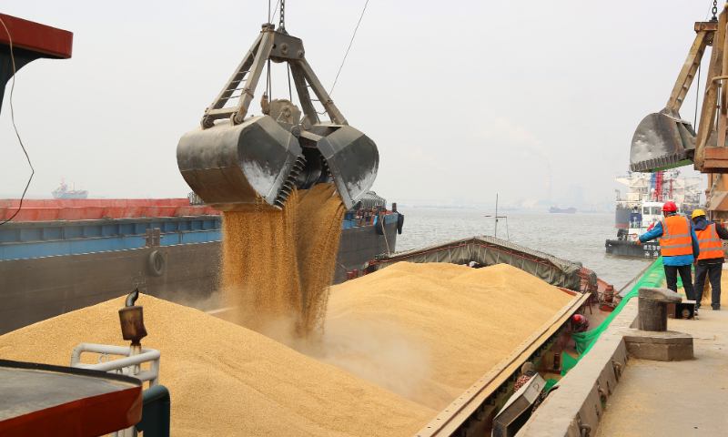 Workers are unloading and transferring barley imported from Canada, on December 18, 2020 at a terminal in Nantong, Jiangsu Province. Photo: VCG