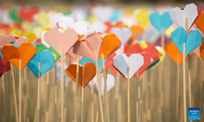 Origami hearts are displayed at the complex of the Angkor Archeological Park in Siem Reap province, Cambodia on April 11, 2023. Cambodia's display of origami hearts was included in the Guinness Book of Records on Tuesday as the world's largest show of origami hearts, breaking the previous record held by Britain, a Guinness World Records adjudicator announced.(Photo: Xinhua)
