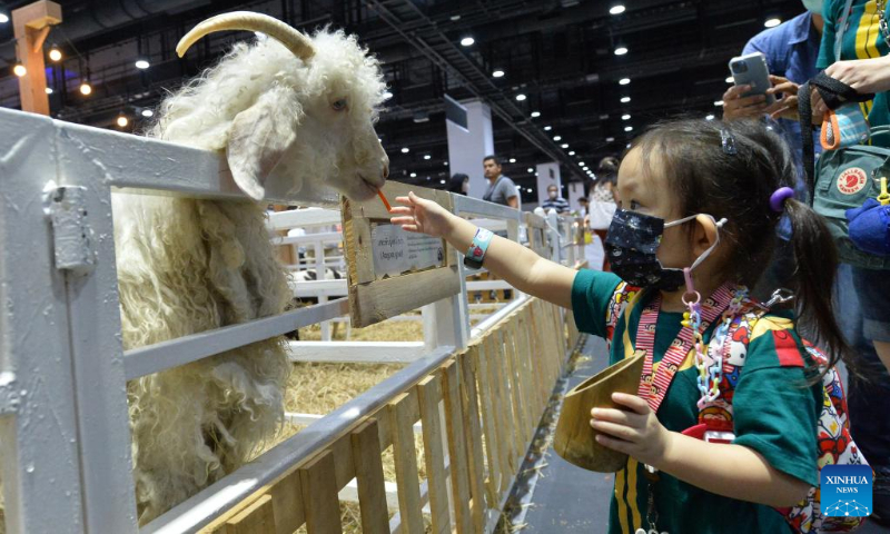 A child feeds a goat at the Queen Sirikit National Convention Center in Bangkok, Thailand, May 4, 2023. The Pet Expo Thailand 2023 kicked off here on Thursday and will last until May 7. (Xinhua/Rachen Sageamsak)