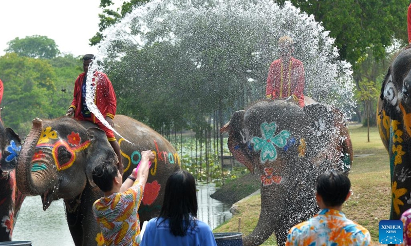 A tourist splashes water on elephants during a celebration for the upcoming Songkran Festival, in Ayutthaya, Thailand, April 11, 2023. Songkran Festival, the traditional Thai New Year, is celebrated from April 13 to 15 every year, during which people express greetings by splashing water on each other.(Photo: Xinhua)