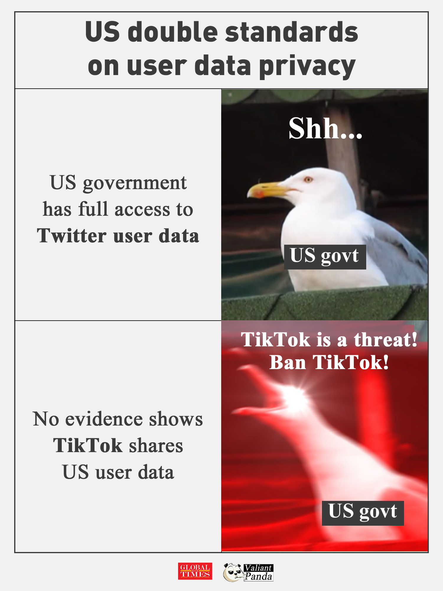 Is TikTok or the US government the real threat to user data privacy? Graphic: GT