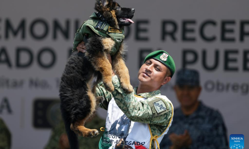 German shepherd puppy Arkadas is cuddled by a soldier at a military base in Naucalpan, Mexico, May 3, 2023. Mexico on Wednesday welcomed Arkadas, a new search puppy given as a gift by Türkiye out of gratitude to Proteo, a Mexican search dog which died while carrying out duties when a massive earthquake struck Türkiye in February. (Photo by Francisco Canedo/Xinhua)