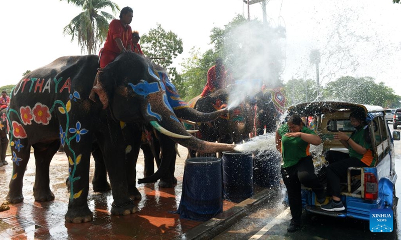 Elephants spray water on tourists during a celebration for the upcoming Songkran Festival, in Ayutthaya, Thailand, April 11, 2023. Songkran Festival, the traditional Thai New Year, is celebrated from April 13 to 15 every year, during which people express greetings by splashing water on each other.(Photo: Xinhua)