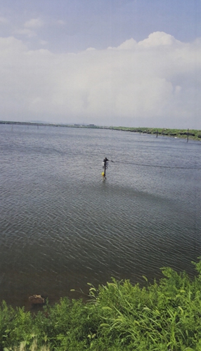 Foreign staff illegally install monitoring equipment in a sea cucumber farm