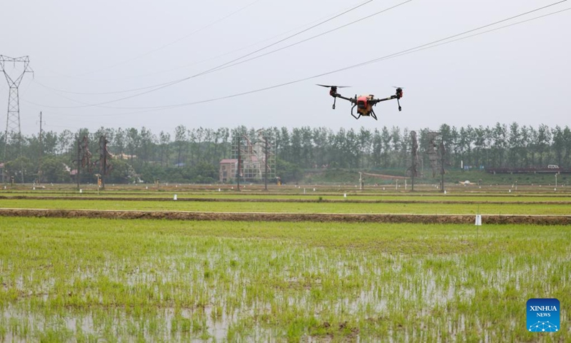 A drone sprays pesticide above a field in Zhongtang Village of Heshan District in Yiyang, central China's Hunan Province, on April 21, 2023. Agricultral machines such as rice transplanter, rotary tiller and drones have helped streamlining the spring ploughing here.(Photo: Xinhua)