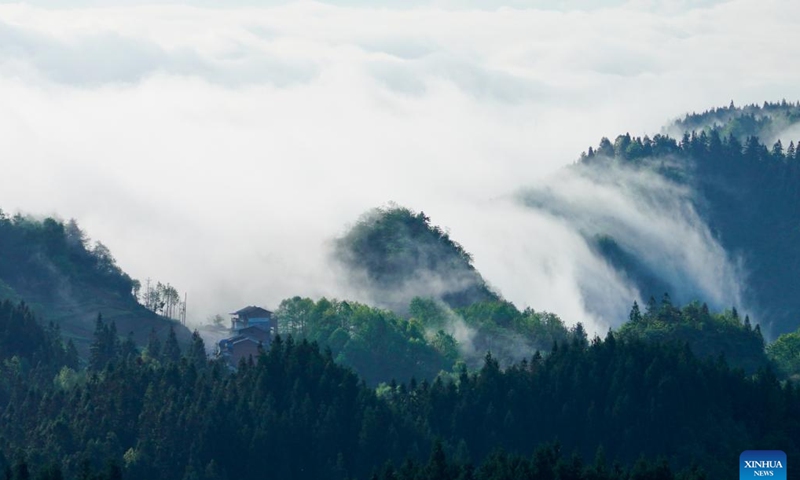 This aerial photo taken on April 19, 2023 shows the scenery of sea of clouds at Jinfo Mountain in Nanchuan District of southwest China's Chongqing.(Photo: Xinhua)