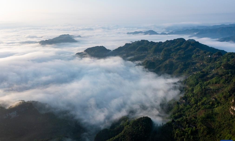 This aerial photo taken on April 19, 2023 shows the scenery of sea of clouds at Jinfo Mountain in Nanchuan District of southwest China's Chongqing.(Photo: Xinhua)