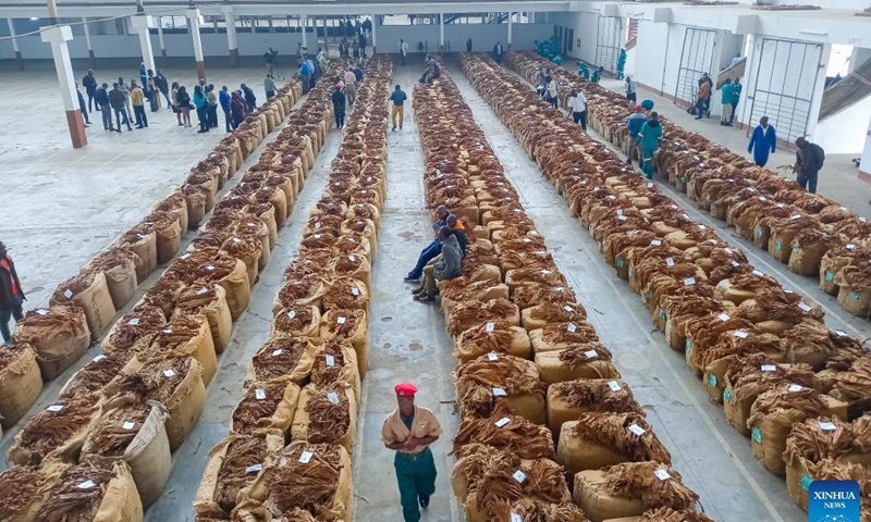 People work at the Limbe Auction Floors in Blantyre, Malawi, on April 17, 2023. As the 2023 selling season for tobacco gets underway in Malawi, farmers are expressing optimism as opening prices look promising so far.(Photo: Xinhua)