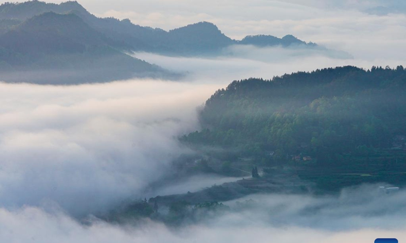 This aerial photo taken on April 19, 2023 shows the scenery of sea of clouds at Jinfo Mountain in Nanchuan District of southwest China's Chongqing.(Photo: Xinhua)