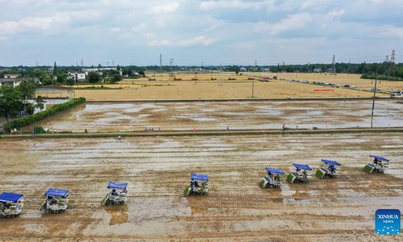 This aerial photo taken on May 10, 2023 shows farmers driving agricultural machineries to plant rice seedlings in a field in Chongzhou, southwest China's Sichuan Province. Farmers across the province have recently been busy with works in the fields.(Photo: Xinhua)