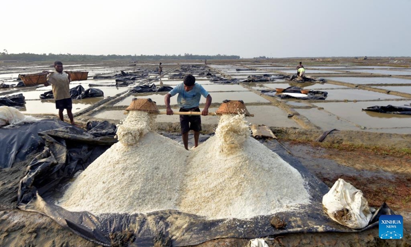 People work at a salt farm in Cox's Bazar, Bangladesh on May 15, 2023. Farmers in Bangladesh's Cox's Bazar district, some 300 km southeast of capital Dhaka, are now busy harvesting salt after cyclone Mocha hit the lands.(Photo: Xinhua)