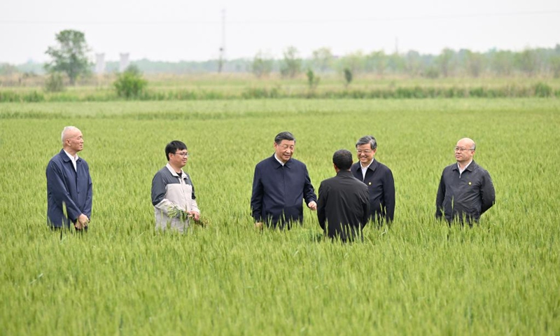 Chinese President Xi Jinping, also general secretary of the Communist Party of China Central Committee and chairman of the Central Military Commission, learns about the cultivation of crops tolerant of drought and alkalinity in a wheat field in Cangzhou, north China's Hebei Province, May 11, 2023. Xi on Thursday visited the city of Cangzhou in north China's Hebei Province.(Photo: Xinhua)