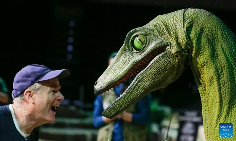 A member of the media takes a closer look at the head of a dinosaur during a behind-the-scene preview of the Jurassic World Live Tour show in Vancouver, British Columbia, Canada, on May 12, 2023. The behind-the-scene preview of the making of the Jurassic World Live Tour show was presented here on Friday. The show will be held here from May 19 to May 28. (Photo by Liang Sen/Xinhua)