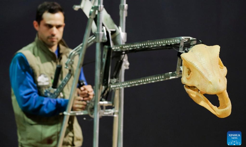 A cast member tries to maneuver a dinosaur practice rig during a behind-the-scene preview of the Jurassic World Live Tour show in Vancouver, British Columbia, Canada, on May 12, 2023. The behind-the-scene preview of the making of the Jurassic World Live Tour show was presented here on Friday. The show will be held here from May 19 to May 28. (Photo by Liang Sen/Xinhua)