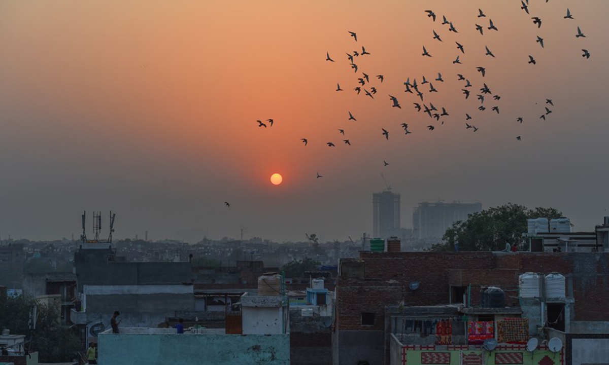 Pigeons hover in the sky in New Delhi, India, May 12, 2023. (Xinhua/Javed Dar)