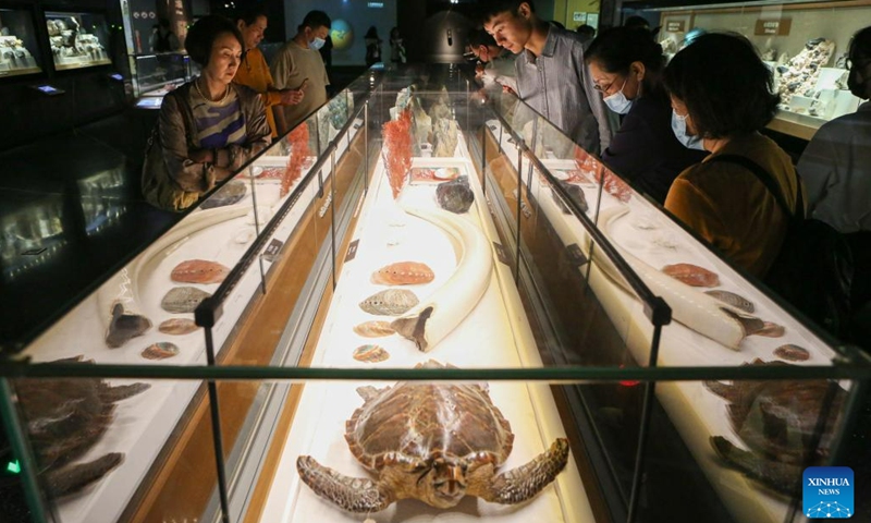 People visit the Shanghai Natural History Museum in Shanghai, east China, May 18, 2023. Shanghai Natural History Museum(SNHM) held a special event themed Night at the SNHM in celebration of the International Museum Day on Thursday(Photo: Xinhua)