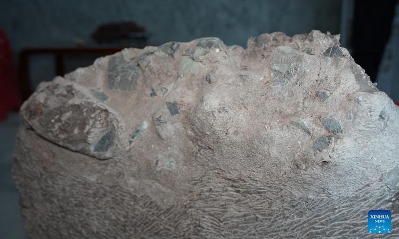 This photo taken on Dec. 5, 2022 shows a part of fossilized dinosaur eggs discovered in Huangzhu Village of Shanghang County, Longyan City, southeast China's Fujian Province. Photo: Xinhua