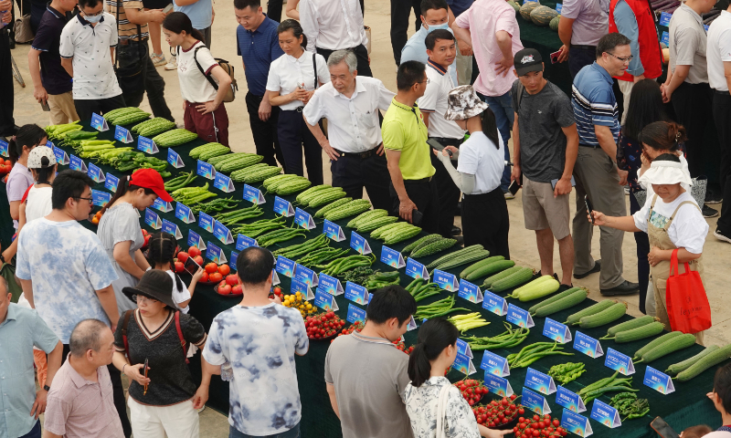 Seed dealers and vegetable growers check vegetables and seeds in Nanning, South China's Guangxi Zhuang Autonomous Region on May 20, 2023. A total of 1,129 new vegetable varieties from 91 scientific research institutions and enterprises are on display at the 2023 China (Guangxi)-ASEAN New Varieties of Vegetables Exposition until June 10. Photo: VCG