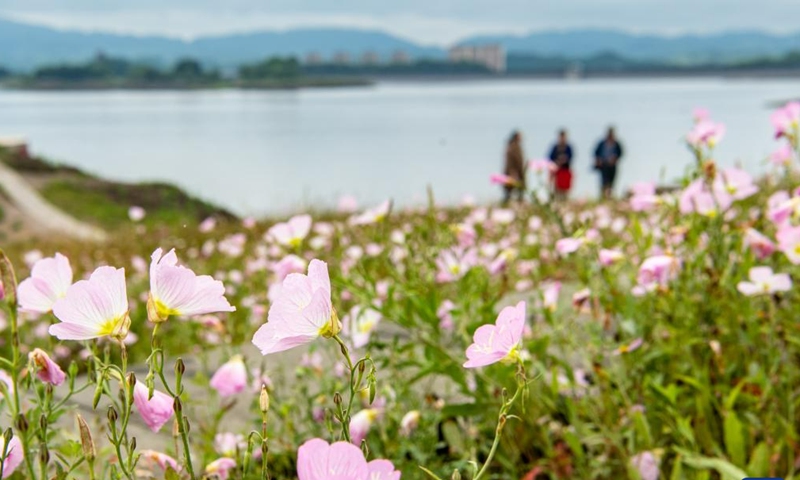 Tourists visit the Changshou Lake scenic area in Changshou District of southwest China's Chongqing, May 16, 2023. Located in Changshou District of southwest China's Chongqing, Changshou Lake is the largest artificial lake in southwest China, and is rich in natural resources.(Xinhua)