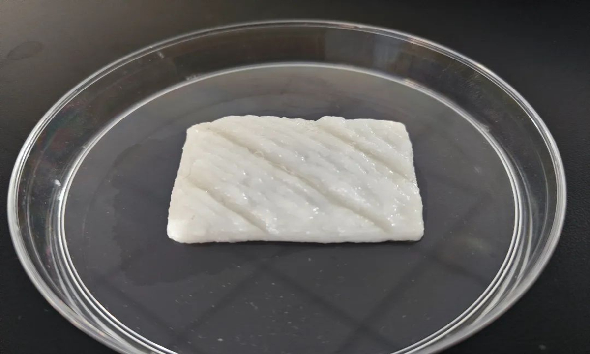 China’s first centimeter-long cultured fish fillets with the help of 3D technology. Photo: website of Zhejiang University