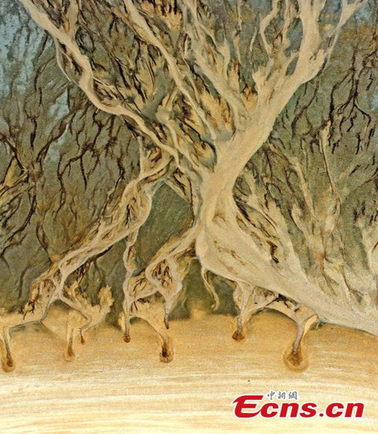 Stunning natural wonder of tidal flat along Meizhou Island, in Putian, east China's Fujian Province, May 17, 2023. (Photo provided to China News Service)