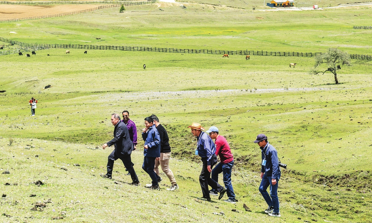 Foreign diplomats and experts stroll on a grassland with locals in Nyingchi, Southwest China's Xizang Autonomous Region on May 17, 2023. Photo: Courtesy of the Forum on the Development of Xizang