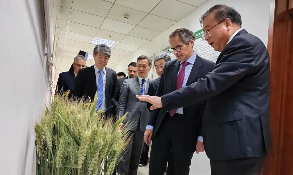 Liu Luxiang (right), deputy head of the Institute of Crop Science of the Chinese Academy of Agricultural Sciences, talks with visiting IAEA Director General Rafael Mariano Grossi at the institute on May 24, 2023. Photo: Courtesy of Institute of Crop Science of the Chinese Academy of Agricultural Sciences