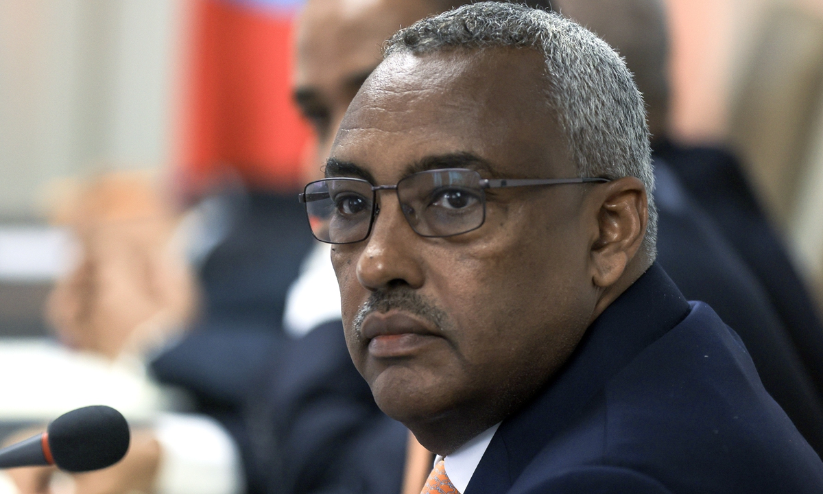 Ethiopian Deputy Prime Minister and Foreign Minister Demeke Mekonnen Hassen Photo: VCG