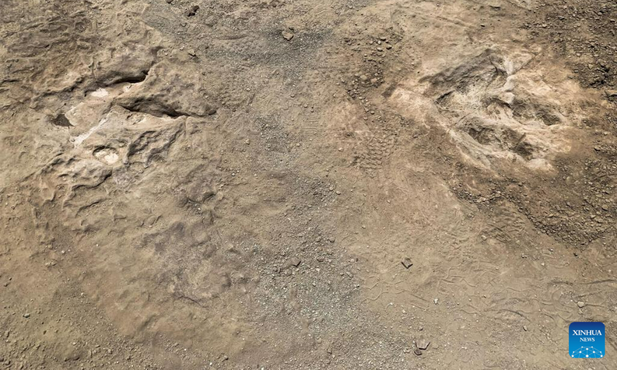 This photo taken on May 22, 2023 shows fossilized footprints of carnivorous dinosaurs discovered in Ordos, north China's Inner Mongolia Autonomous Region. Photo:Xinhua