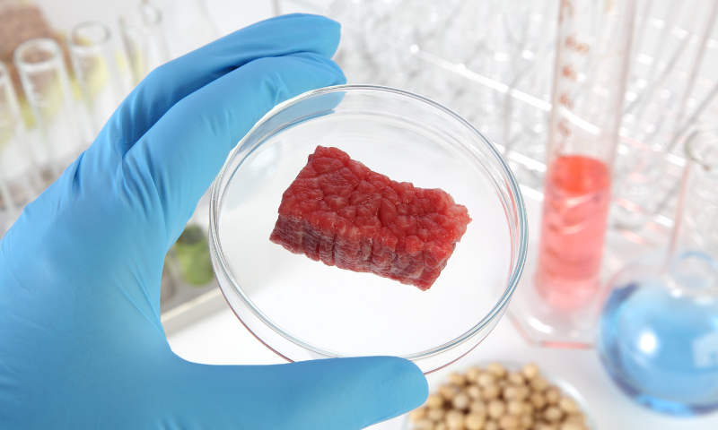 A concept photo of cell-cultured meat production technology Photo: VCG