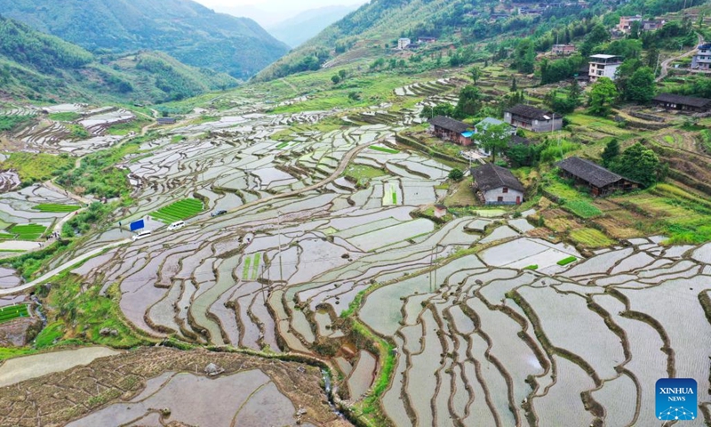 This aerial photo taken on May 24, 2023 shows the terraced fields in Lianhe Township of Youxi County, southeast China's Fujian Province.(Photo: Xinhua)