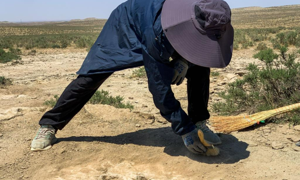 A staff member clears the fossilized footprints of carnivorous dinosaurs discovered in Ordos, north China's Inner Mongolia Autonomous Region, on May 22, 2023. Photo:Xinhua