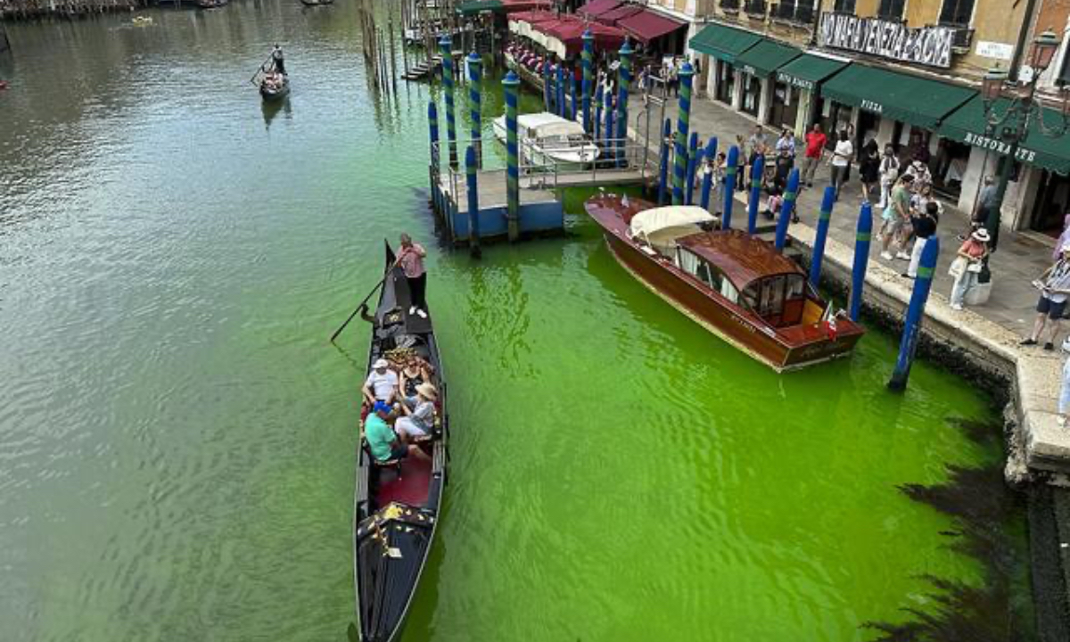The spectacular transformation of a stretch of Venice’s Grand Canal to fluorescent green was due to fluorescein, a non-toxic substance used for testing wastewater networks. Photo: AFP