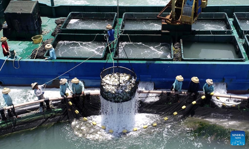 This aerial photo taken on May 27, 2023 shows fishery workers lifting a net cage in an aquafarm of Xilian Township of Xuwen County, Zhanjiang City, south China's Guangdong Province. Zhanjiang is one of the largest golden pomfret breeding bases in China. Every year, about 100,000 tonnes of golden pomfrets are harvested here, accounting for about 30 percent to 40 percent of the national output.(Photo: Xinhua)