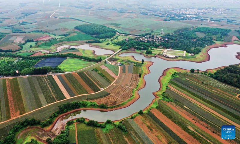 This aerial photo taken on May 26, 2023 shows the fields which are mainly planted with pineapples in Qujie Township of Xuwen County, Zhanjiang City, south China's Guangdong Province. Xuwen County is a major producer of pineapples, with a planting area of more than 350,000 mu (23,333 hectares).(Photo: Xinhua)