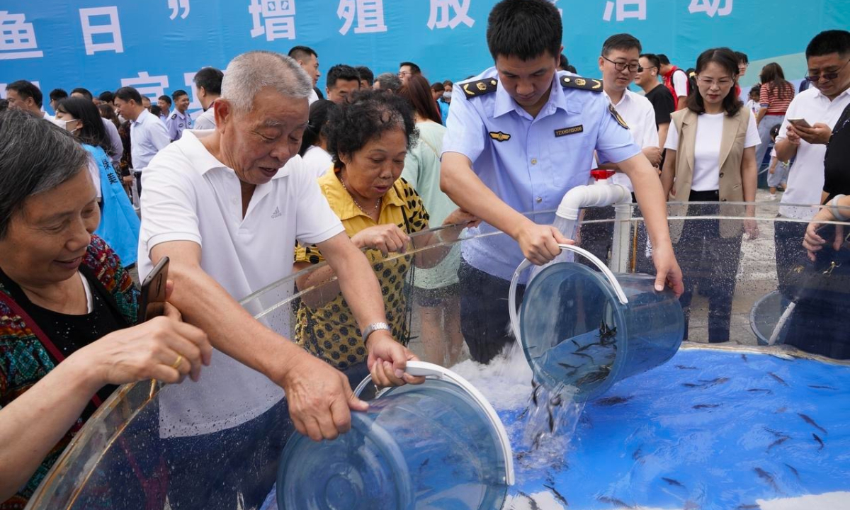 The fish release event in Yibin, Southwest China's Sichuan Province on June 6, 2023 Photo: Courtesy of the Three Gorges Corporation