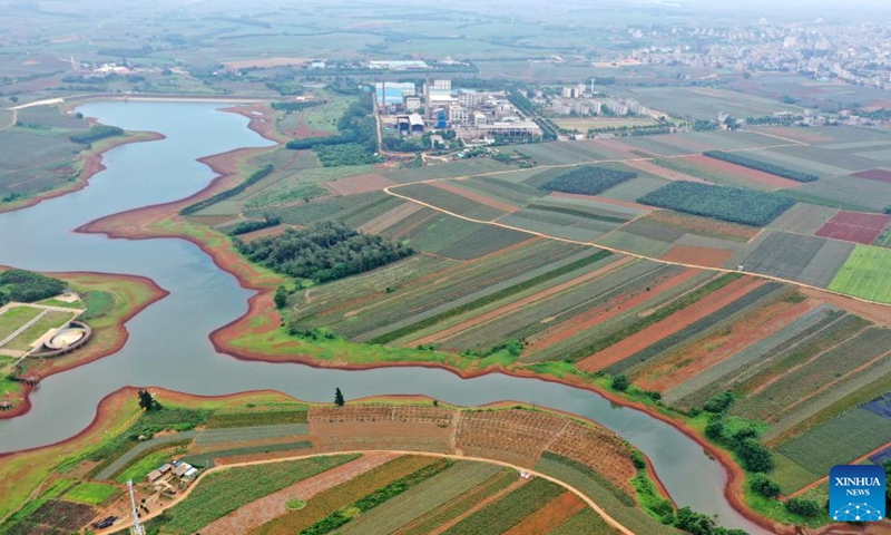 This aerial photo taken on May 26, 2023 shows the fields which are mainly planted with pineapples in Qujie Township of Xuwen County, Zhanjiang City, south China's Guangdong Province. Xuwen County is a major producer of pineapples, with a planting area of more than 350,000 mu (23,333 hectares).(Photo: Xinhua)