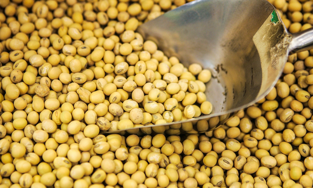 Soybean Photo: VCG