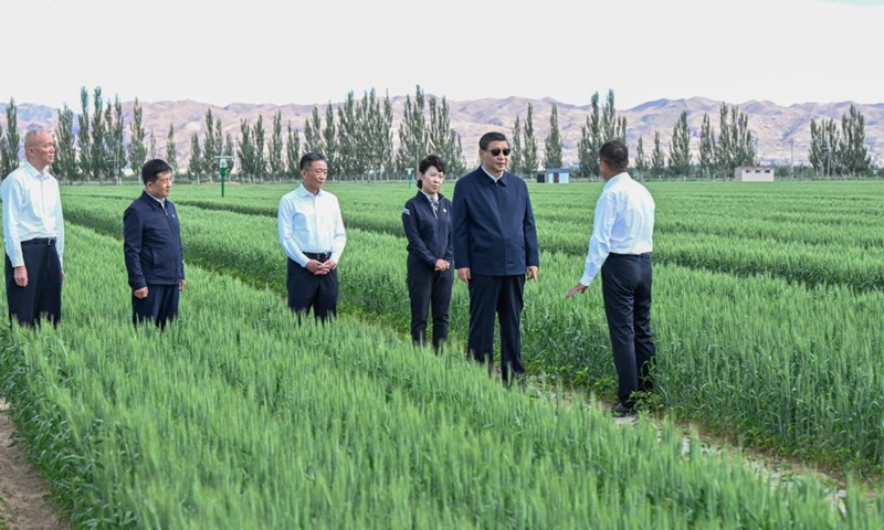 General Secretary of the Communist Party of China (CPC) Central Committee Xi Jinping, also Chinese president and chairman of the Central Military Commission, visits a modern agriculture demonstration park on the south bank of the Wuliangsu Lake in Bayannur, north China's Inner Mongolia Autonomous Region, June 5, 2023.(Photo: Xinhua)