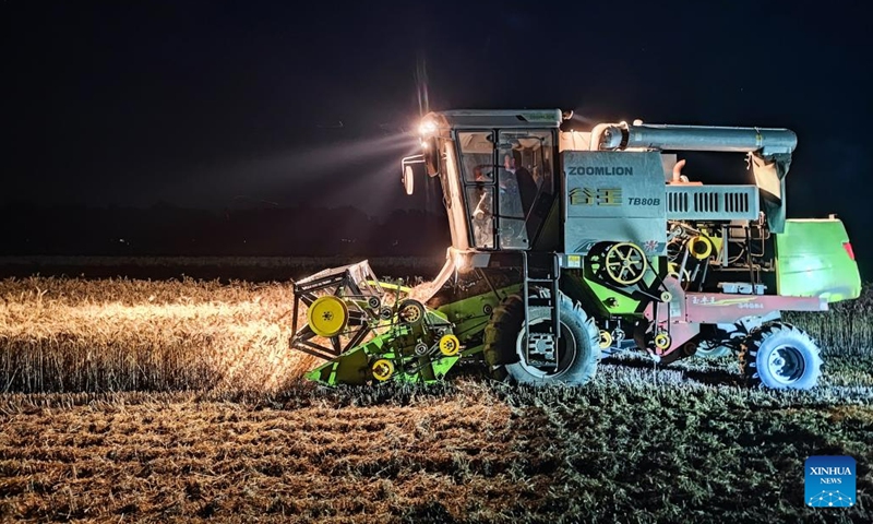 A villager drives a tractor to harvest wheat in Caoxian County of Heze City, east China's Shandong Province, June 6, 2023. Farmers in provinces including Shandong, Henan and Jiangsu have recently been busy with harvesting wheat.(Photo: Xinhua)
