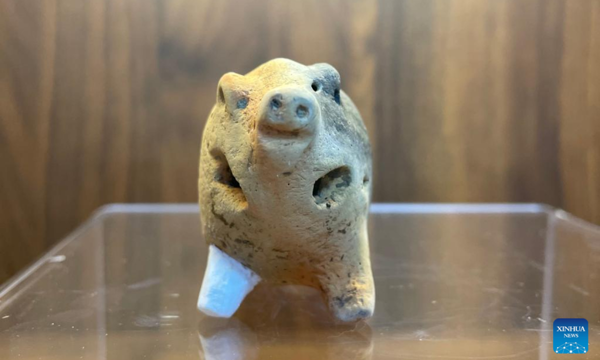 This photo taken on June 2, 2023 shows the pottery pig discovered at a Neolithic site of the Ma'an Relics in the city of Wuxi, east China's Jiangsu Province. Photo:Xinhua