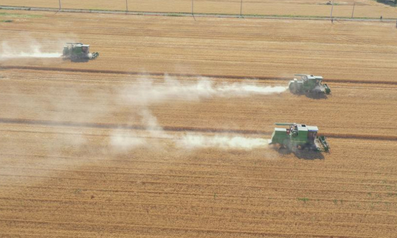 In this aerial photo, wheat is being harvested via agricultural machinery in Zouping City, east China's Shandong Province, June 9, 2023. (Photo by Dong Naide/Xinhua)