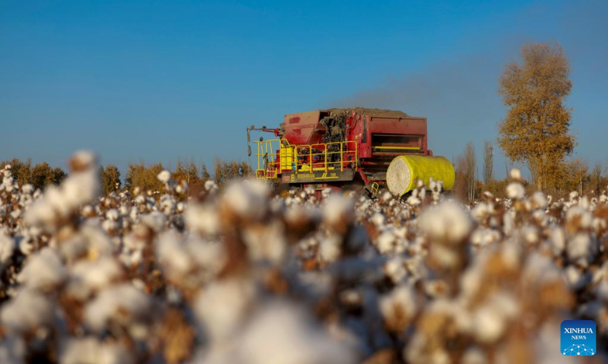 A cotton picker is at work in Xayar County, northwest China's Xinjiang Uygur Autonomous Region, Nov 10, 2022. Photo:Xinhua
